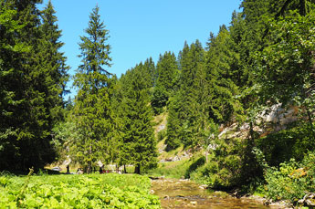 Vercors